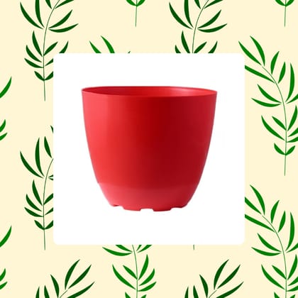 Free gift - 4 Inch Red Premium Orchid Round Plastic Pot - Flash Sale