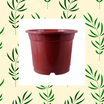 Free Gift - 4 Inch Red Nursery Pot - Flash Sale