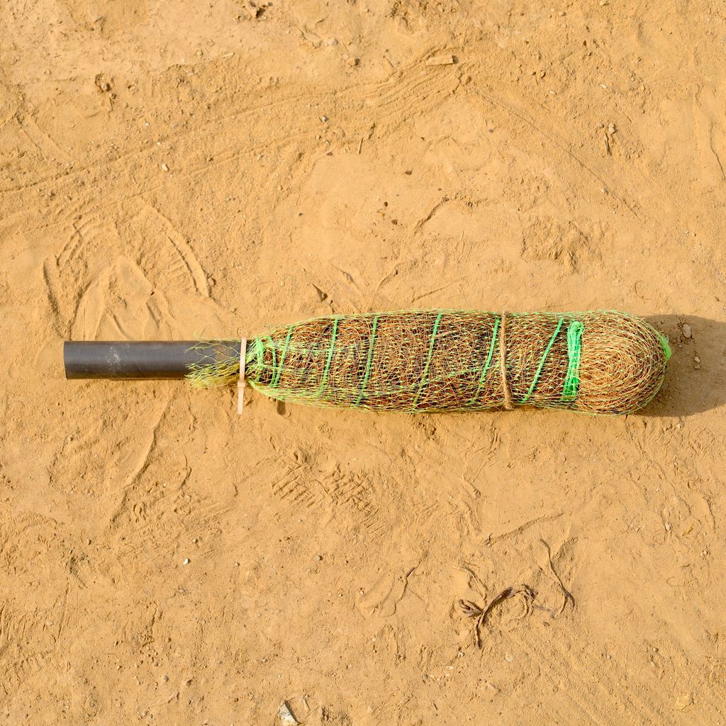 Buy Moss Stick - 1 Ft Online | Urvann.com Moss Stick - 1 Ft