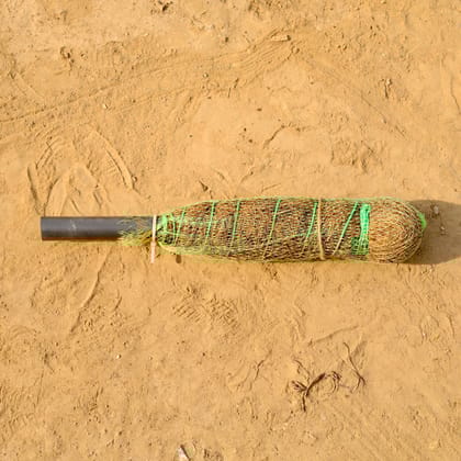 Buy Moss Stick - 1 Ft  Online | Urvann.com