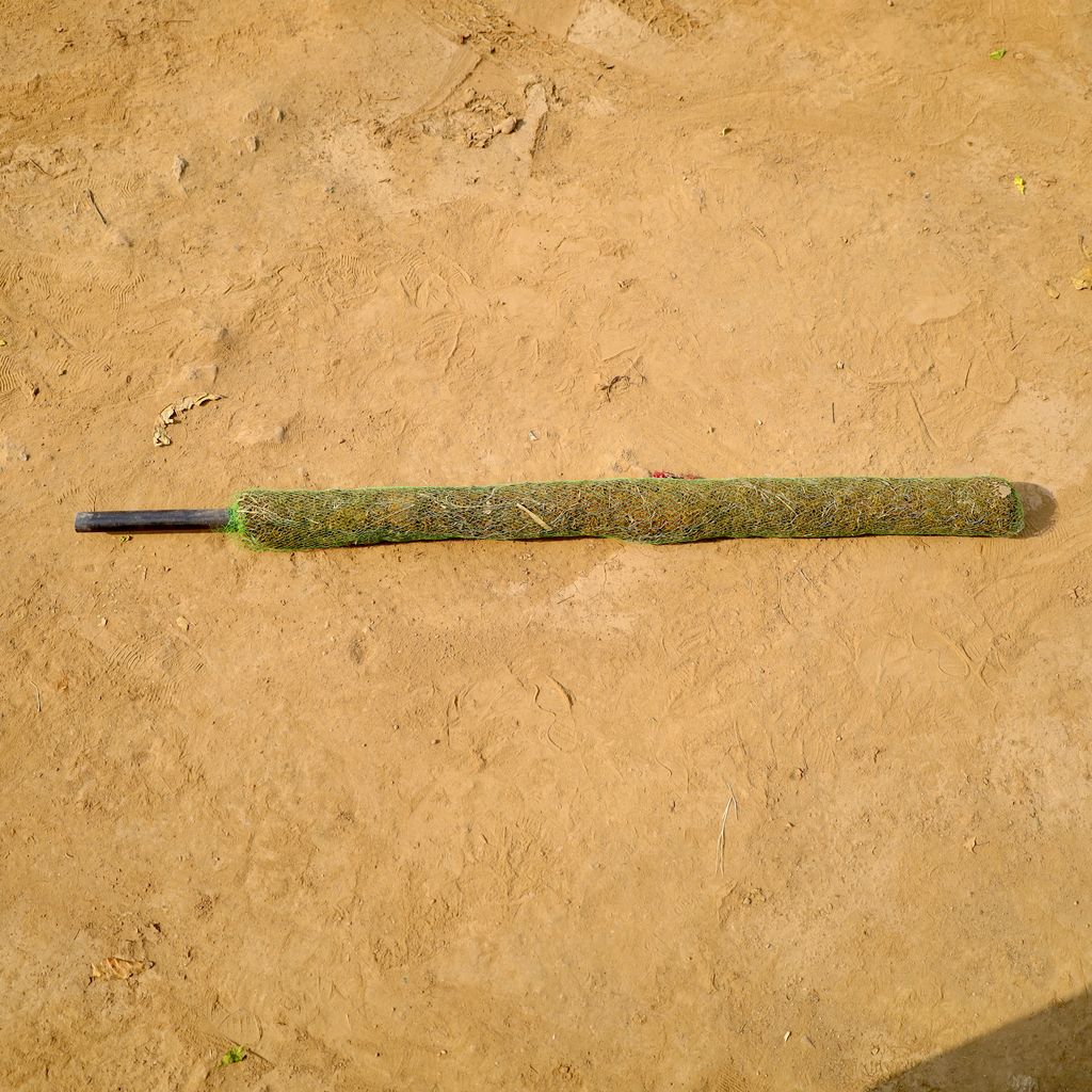 Buy Moss Stick - 4 Ft Online | Urvann.com Moss Stick - 4 Ft