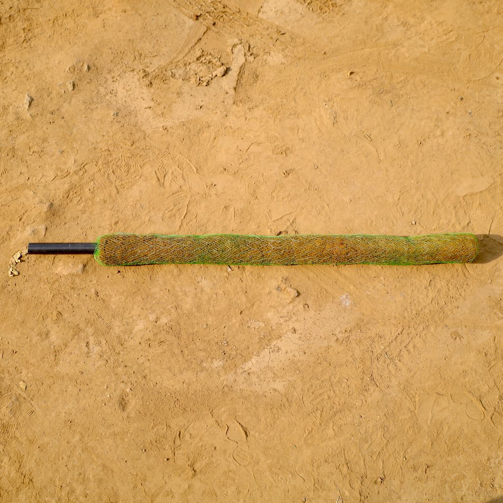 Buy Moss Stick - 3 Ft Online | Urvann.com Moss Stick - 3 Ft