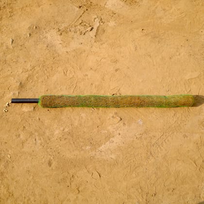 Buy Moss Stick - 3 Ft Online | Urvann.com