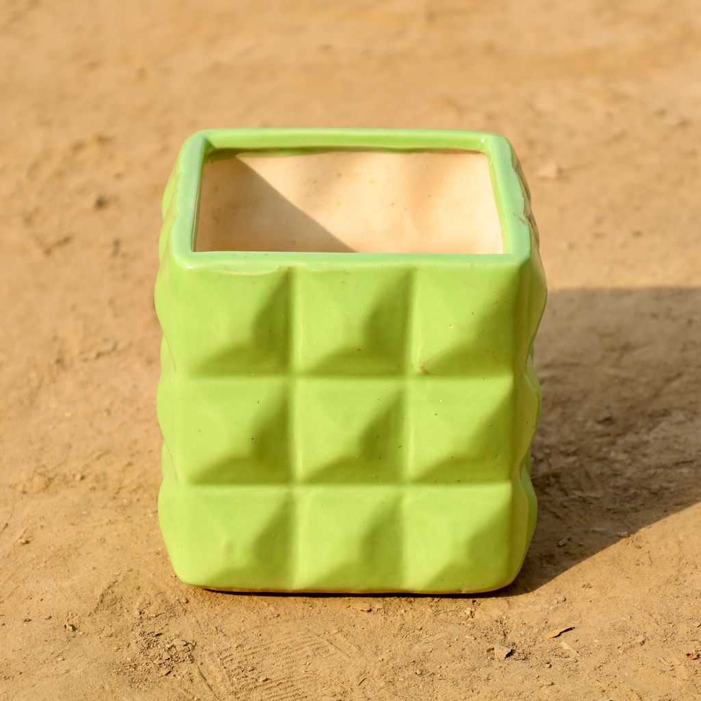 Buy 6 Inch Green Grid Texture Ceramic Pot Online | Urvann.com 6 Inch Green Grid Texture Ceramic Pot