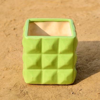 Buy 6 Inch Green Grid Texture Ceramic Pot Online | Urvann.com