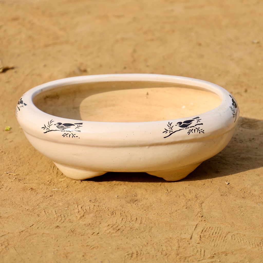 Buy 6 Inch Ivory Oval Ceramic Pot Online | Urvann.com 6 Inch Ivory Oval Ceramic Pot