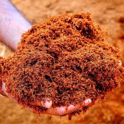 Buy Cocopeat - 1 Kg Online | Urvann.com