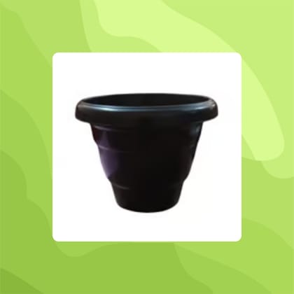 Free Gift - 8 Inch Black Classy Plastic Pot - Flash Sale