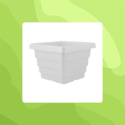 Free Gift - 4 Inch White Marble Premium Orchid Square Plastic Pot - Flash Sale