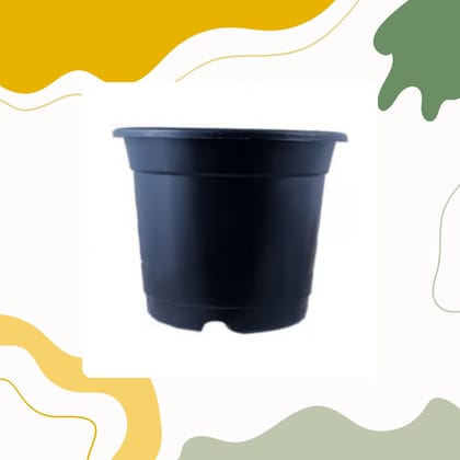 Free Gift - 4 Inch Black Nursery Pot - Flash Sale