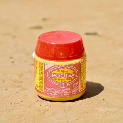 Rootex
