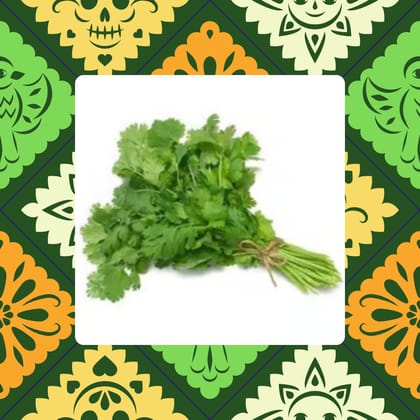 Free Gift - Coriander / Dhaniya Seeds - Excellent Germination - Flash Sale