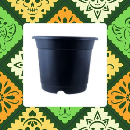 Free Gift - 4 Inch Black Nursery Pot - Flash Sale