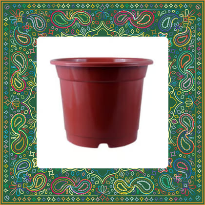 Free Gift - 4 Inch Red Nursery Pot - Flash Sale