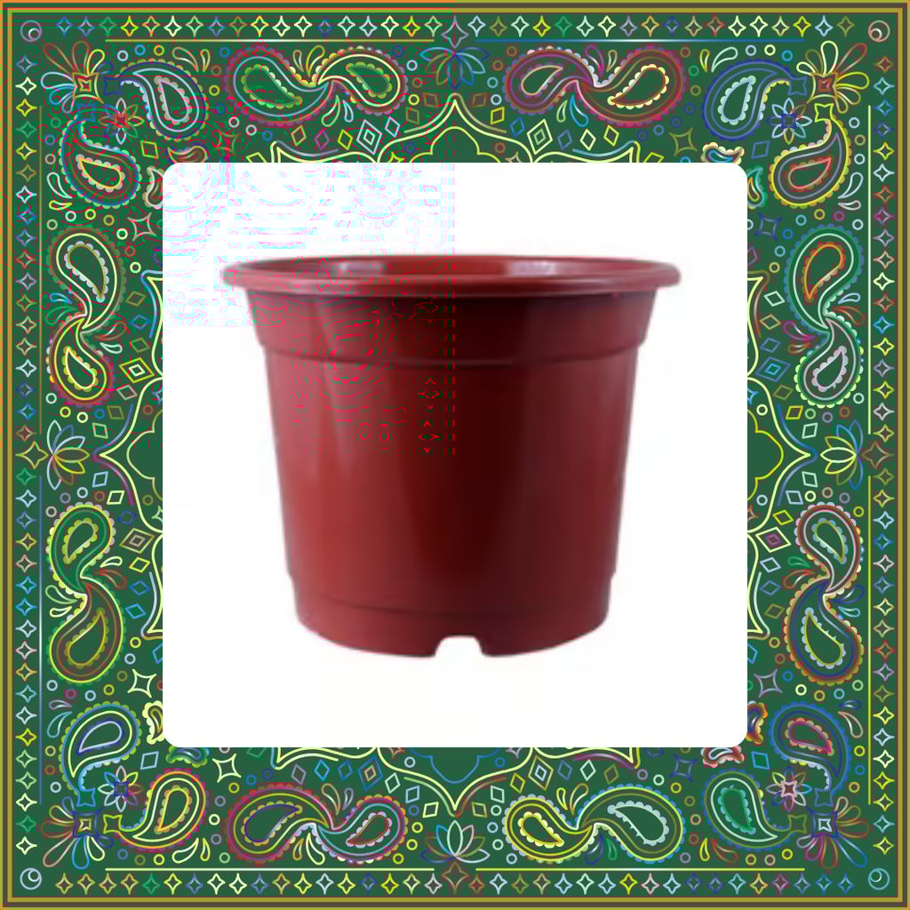 Free Gift - 4 Inch Red Nursery Pot - Flash Sale Free Gift - 4 Inch Red Nursery Pot - Flash Sale