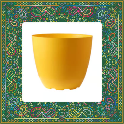 Free Gift - 4 Inch Yellow Premium Orchid Round Plastic Pot - Flash Sale