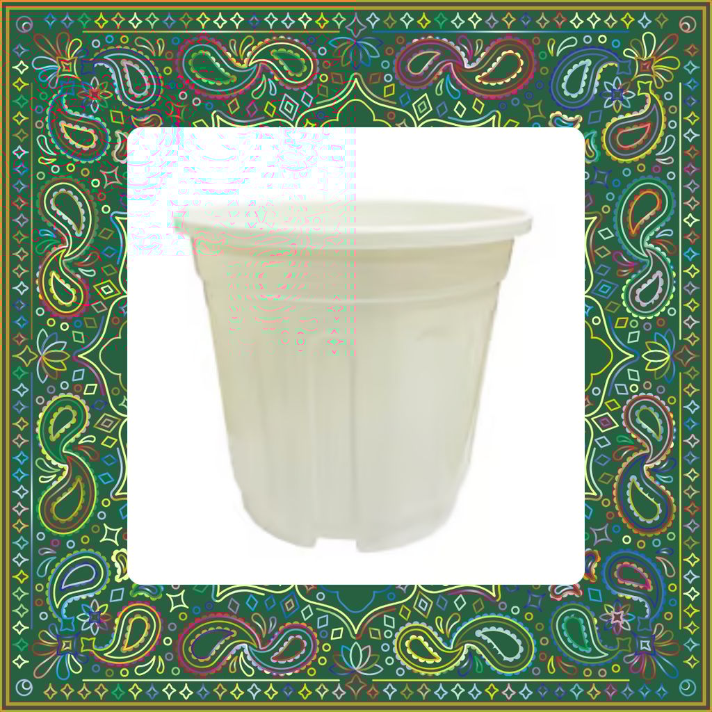 Free Gift - 6 Inch White Super Nursery Pot - Flash Sale Free Gift - 6 Inch White Super Nursery Pot - Flash Sale