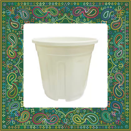 Free Gift - 6 Inch White Super Nursery Pot - Flash Sale