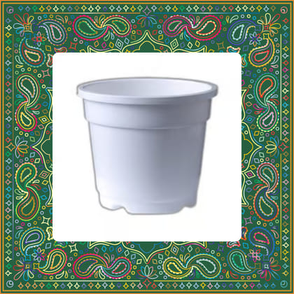 Free Gift - 4 Inch White Nursery Pot - Flash Sale