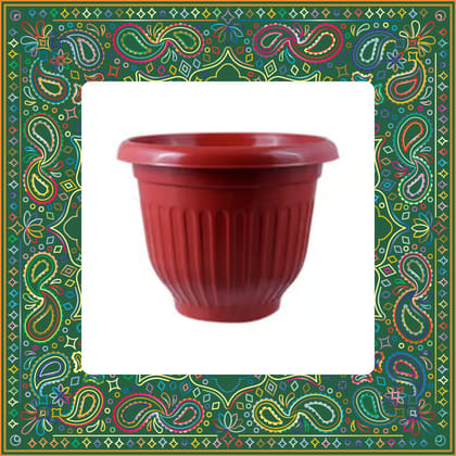 Free Gift - 8 Inch Terracotta Red Olive Plastic Pot - Flash Sale