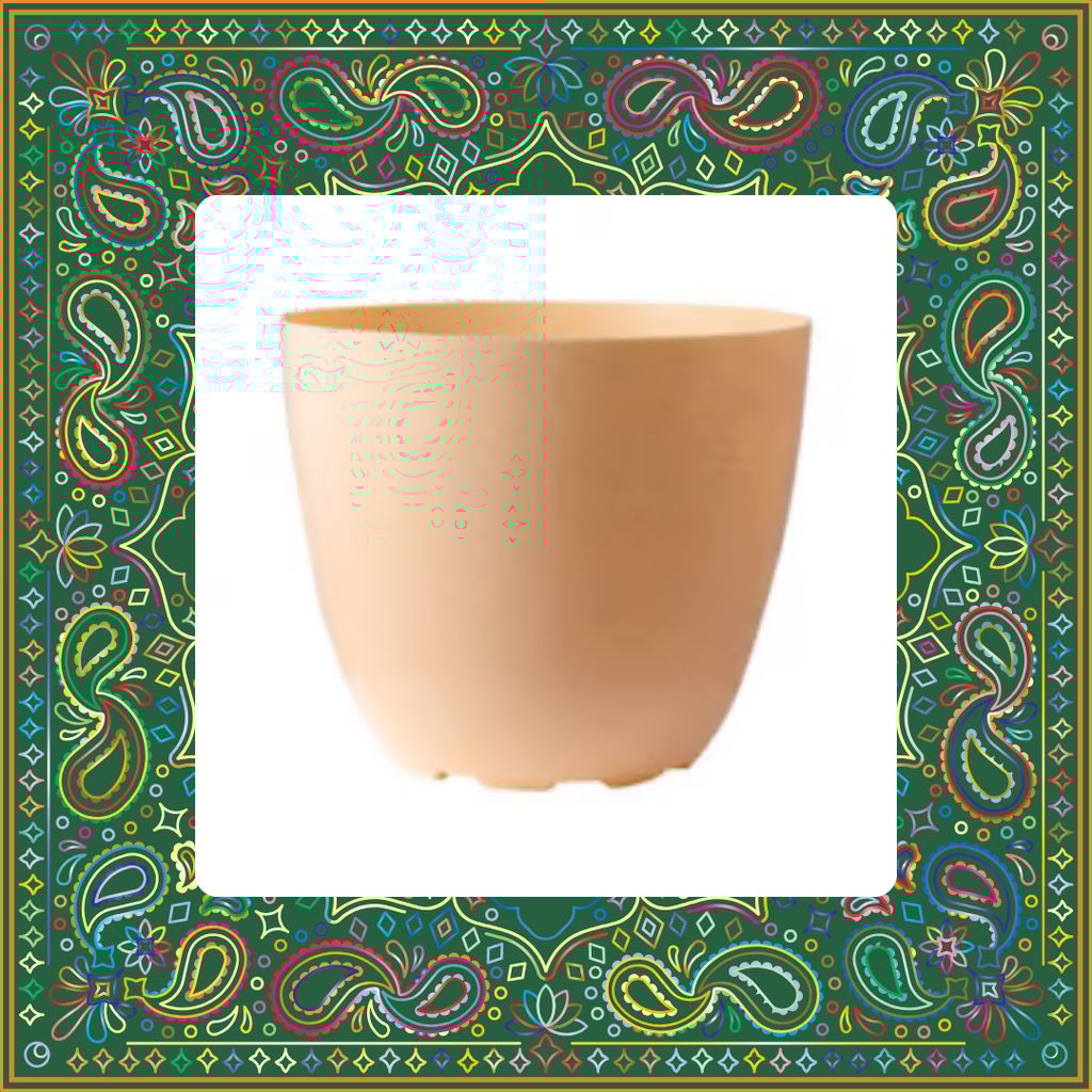 Free Gift - 6 Inch Beige Marble Premium Orchid Round Plastic Pot - Flash Sale Free Gift - 6 Inch Beige Marble Premium Orchid Round Plastic Pot - Flash Sale
