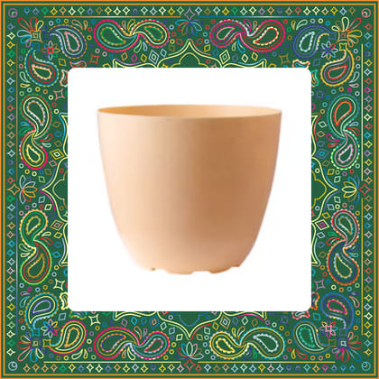 Free Gift - 6 Inch Beige Marble Premium Orchid Round Plastic Pot - Flash Sale