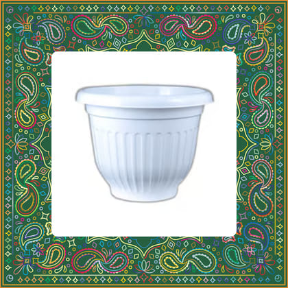 Free Gift - 8 Inch White Olive Plastic Pot - Flash Sale