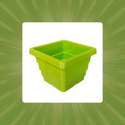 Free Gift - 4 Inch Green Premium Orchid Square Plastic Pot - Flash Sale