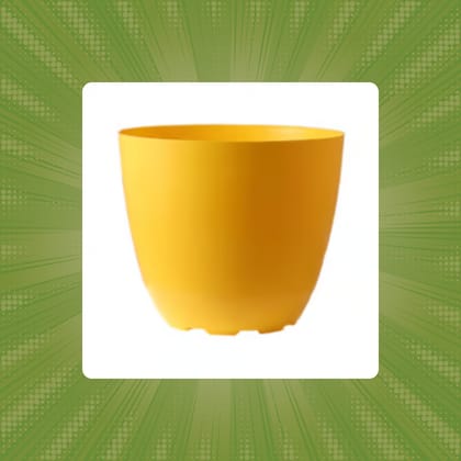 Free Gift - 4 Inch Yellow Premium Orchid Round Plastic Pot - Flash Sale