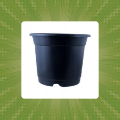 Free Gift - 4 Inch Black Nursery Pot - Flash Sale