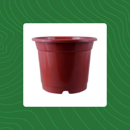 Free Gift - 4 Inch Red Nursery Pot - Flash Sale