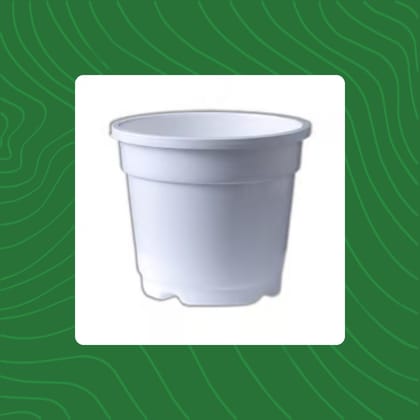 Free Gift - 4 Inch White Nursery Pot - Flash Sale