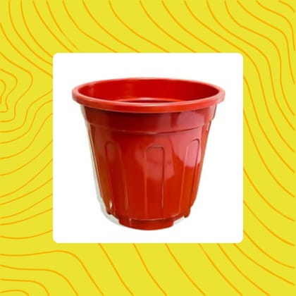 Free Gift - 6 Inch Red Super Nursery Pot - Flash Sale
