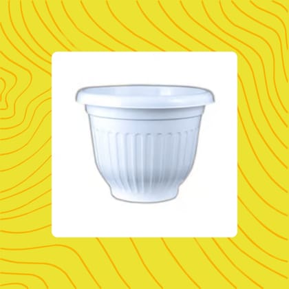 Free Gift - 8 Inch White Olive Plastic Pot - Flash Sale