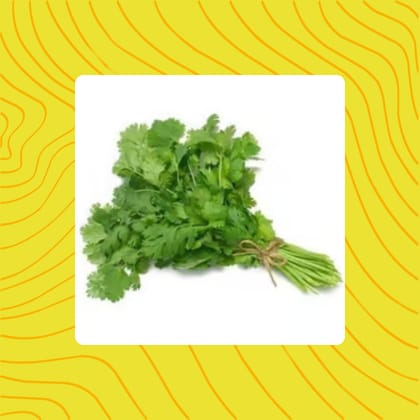 Free Gift - Coriander / Dhaniya Seeds - Excellent Germination - Flash Sale
