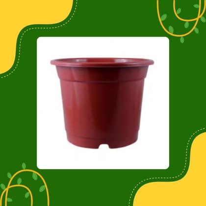 Free Gift - 4 Inch Red Nursery Pot - Flash Sale