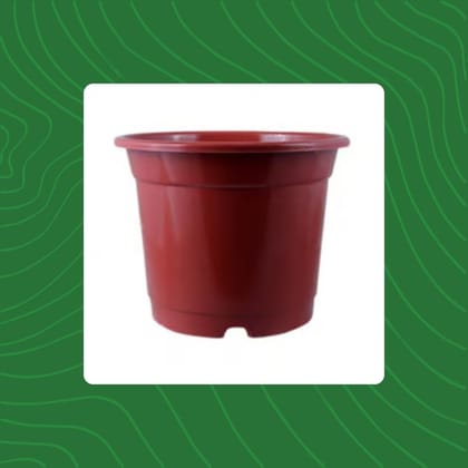 Free Gift - 4 Inch Red Nursery Pot - Flash Sale