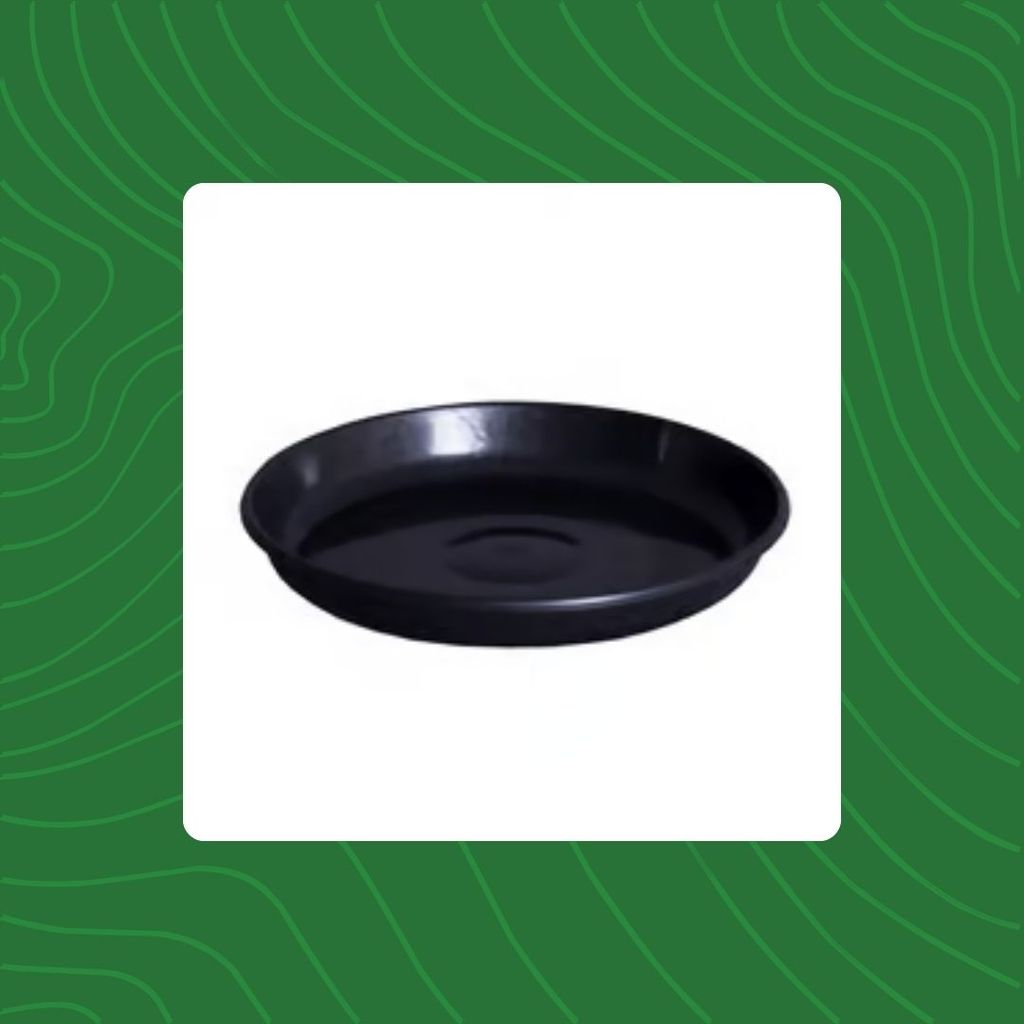 Free Gift - 8 Inch Black Premium Black Tray - To keep under the Pot - Flash Sale