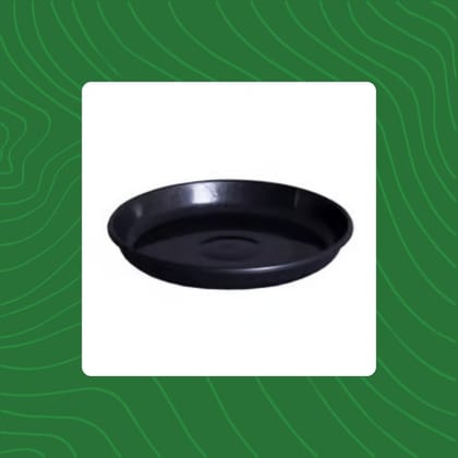 Free Gift - 8 Inch Black Premium Black Tray - To keep under the Pot - Flash Sale