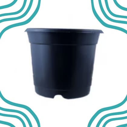 Free Gift - 4 Inch Black Nursery Pot - Flash Sale