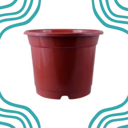 Free Gift - 4 Inch Red Nursery Pot - Flash Sale