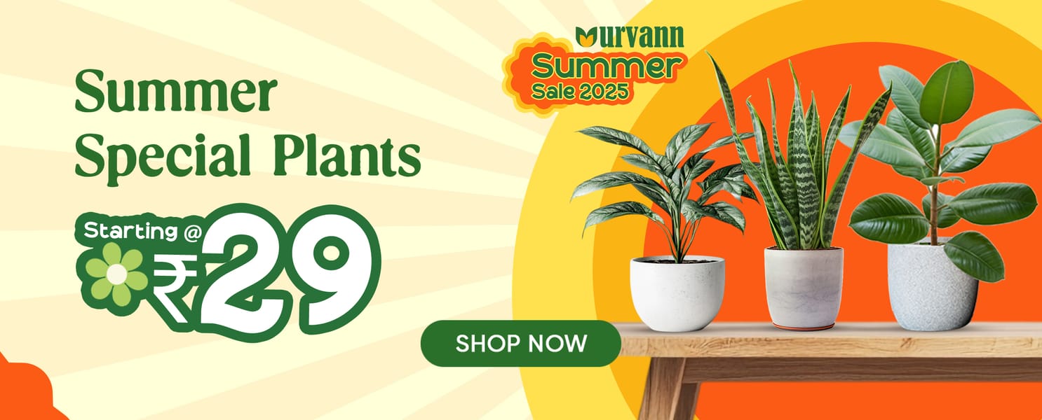 All plants