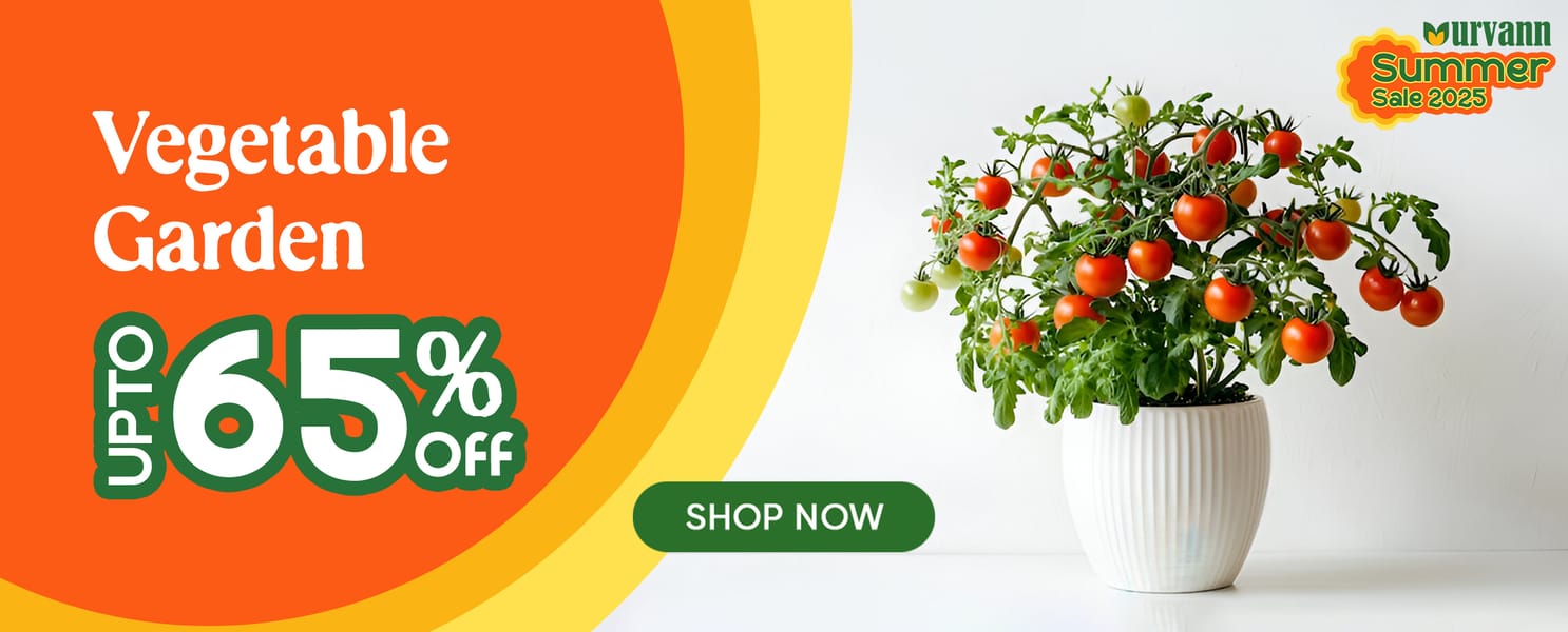 Vegetable Garden