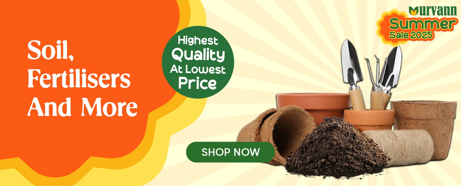 Soil and more
