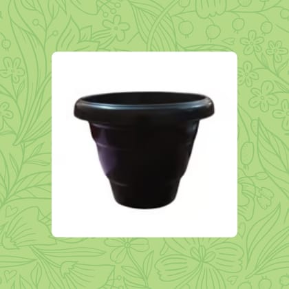 Free Gift - 8 Inch Black Classy Plastic Pot - Flash Sale