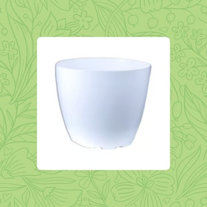 Free Gift - 4 Inch White Premium Orchid Round Plastic Pot - Flash Sale