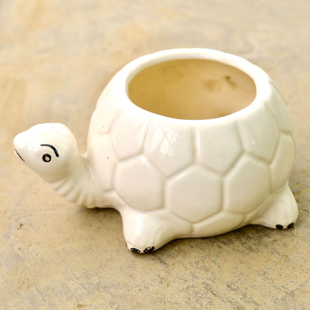Buy 6 Inch Cute Turtle Designer Ceramic Pot (any colour & design) Online | Urvann.com 6 Inch Cute Turtle Designer Ceramic Pot (any colour & design)