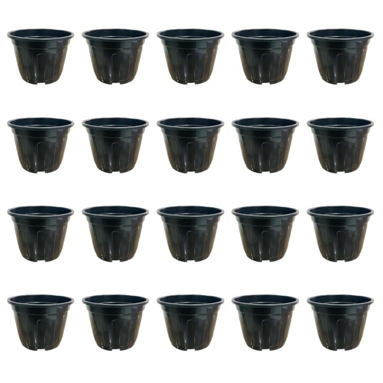 Set of 20 - 6 Inch Black Super Nursery Pot