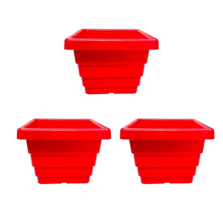 Set of 03 - 6 Inch Red Premium Orchid Square Plastic Pot