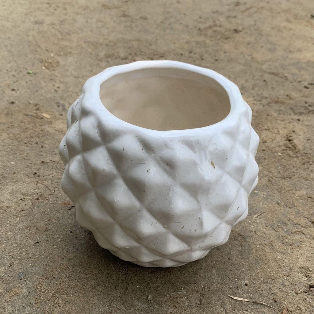 Buy 4 Inch White Diamond Designer Ceramic Pot Online | Urvann.com 4*5 Inch White Diamond Designer Ceramic Pot any color